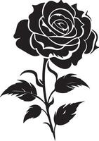 Rose Flower Silhouette Vector Illustration White Background