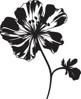 Geranium Flower Silhouette Vector Illustration White Background