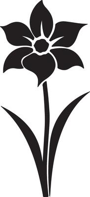 Daffodil Flower Silhouette Vector Illustration White Background