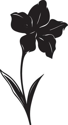 Daffodil Flower Silhouette Vector Illustration White Background