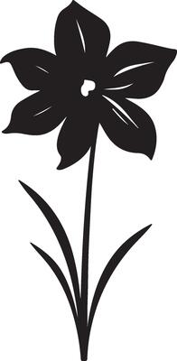 Daffodil Flower Silhouette Vector Illustration White Background