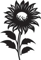 Sunflower Silhouette Vector Illustration White Background