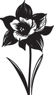 Daffodil Flower Silhouette Vector Illustration White Background