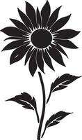 Sunflower Silhouette Vector Illustration White Background