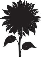 Sunflower Silhouette Vector Illustration White Background