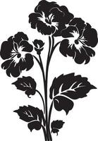 Begonia Flower Silhouette Vector Illustration White Background