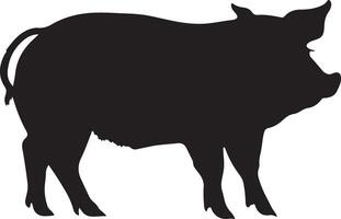 cerdo silueta vector ilustración blanco antecedentes