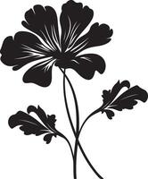 Geranium Flower Silhouette Vector Illustration White Background