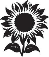 Sunflower Silhouette Vector Illustration White Background