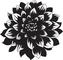 dalia flor silueta vector ilustración blanco antecedentes