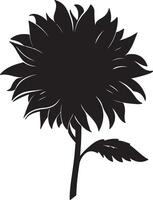 Sunflower Silhouette Vector Illustration White Background