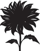 Sunflower Silhouette Vector Illustration White Background