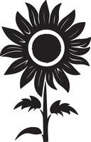 Sunflower Silhouette Vector Illustration White Background