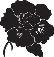 Begonia Flower Silhouette Vector Illustration White Background