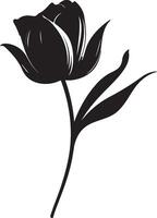 Tulip Flower Silhouette Vector Illustration White Background