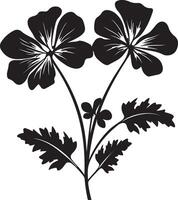 Geranium Flower Silhouette Vector Illustration White Background