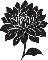 Dahlia Flower Silhouette Vector Illustration White Background