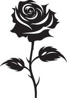 Rose Flower Silhouette Vector Illustration White Background