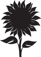 Sunflower Silhouette Vector Illustration White Background