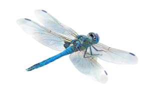 ai generado azul libélula png