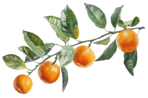 ai generado Fresco naranjas con hojas en rama png