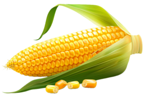 ai generado maduro maíz mazorca con verde hojas png