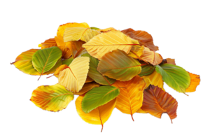 ai généré l'automne feuilles png