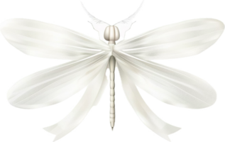 AI generated White Dragonfly Model png