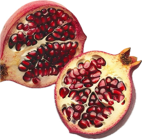 AI generated Fresh Cut Pomegranate with Juicy Seeds png