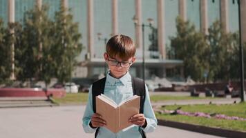 Online education, Back to school, Happy schoolboy, Learn lessons. Portrait of a schoolboy with a backpack goes to school and reads a book video
