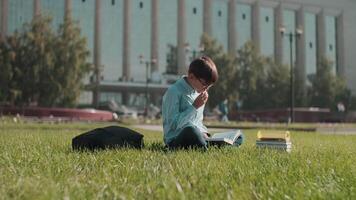 uppkopplad utbildning, tillbaka till skola, Lycklig skolpojke, lära sig lektioner. skol lär lektioner medan Sammanträde på de gräs nära de skola och har lunch video