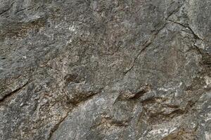 Stone floor has a unique rough surface and dark color. For background and textured. photo