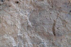 Stone floor has a unique rough surface and light color. For background and textured. photo