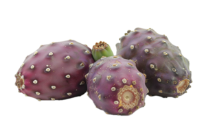 AI generated Heap of Fresh Prickly Pears png