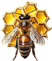 AI generated Detailed Honeybee png