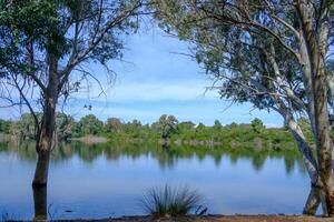 Beautiful lake and surrounding trees at Athalassa National Park, Cyprus. photo