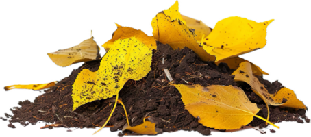 AI generated Autumn Leaves on Rich Soil png