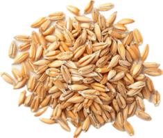 ai generiert Haufen von gesalzen geröstet Weizen Körner png