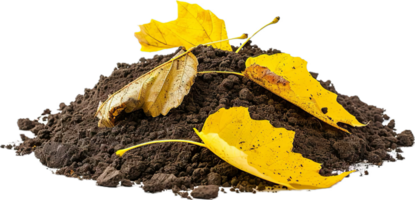 AI generated Autumn Leaves on Rich Soil png