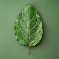 AI generated Green leaf on a green background. Minimal concept. Flat lay. photo