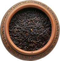 AI generated Terracotta Pot Full of Wild Black Rice png