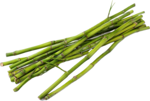 AI generated Bundled Fresh Green Bamboo Sticks png