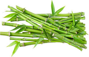 AI generated Bundled Fresh Green Bamboo Sticks png