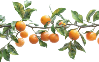 AI generated Ripe Oranges on Branch png