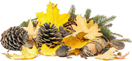 ai gegenereerd herfst samenstelling met pijnboom kegels en bladeren PNG