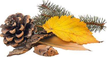 AI generated Autumn Composition with Pine Cones and Leaves png