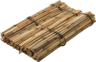 ai gerado bambu esteira com fresco verde folhas png