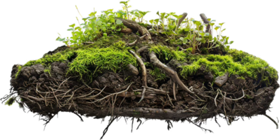 ai généré la Coupe transversale de sol couches avec les racines et herbe png