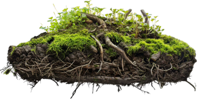 AI generated Cross-Section of Soil Layers with Roots and Grass png