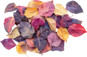 AI generated Vibrant Autumn Leaves Pile png